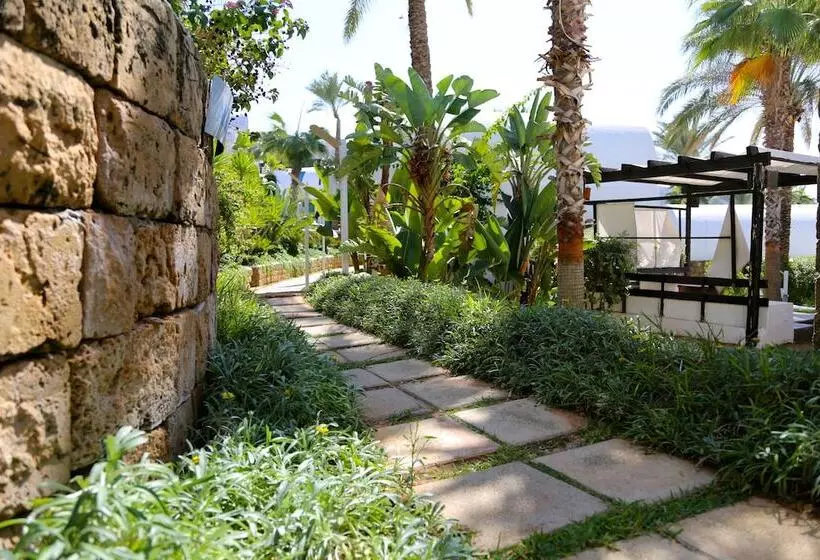 هتل Pangea Beach Resort