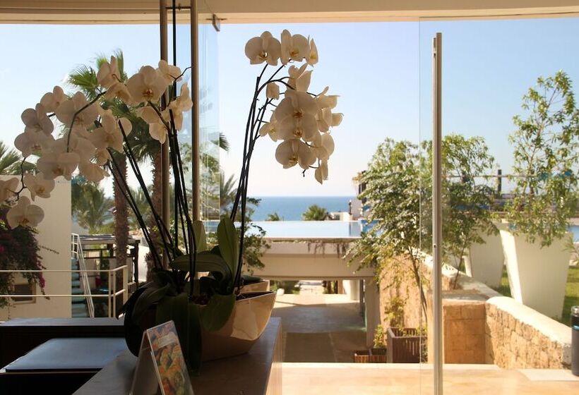 هتل Pangea Beach Resort