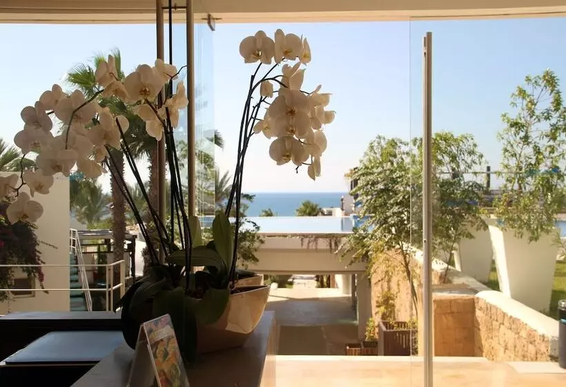 هتل Pangea Beach Resort