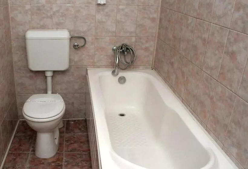 Otel Pension Andronic