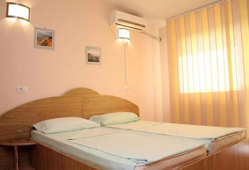 Otel Pension Andronic