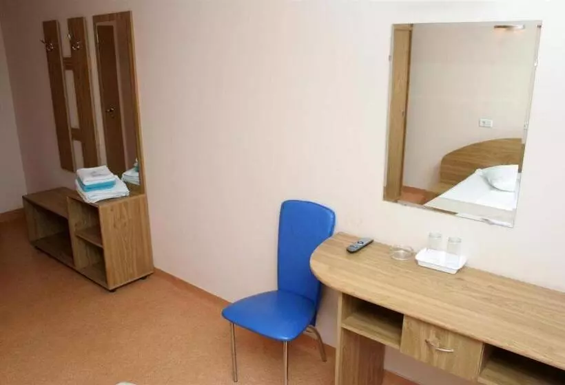 Otel Pension Andronic