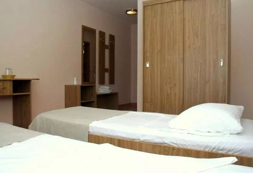 Otel Pension Andronic