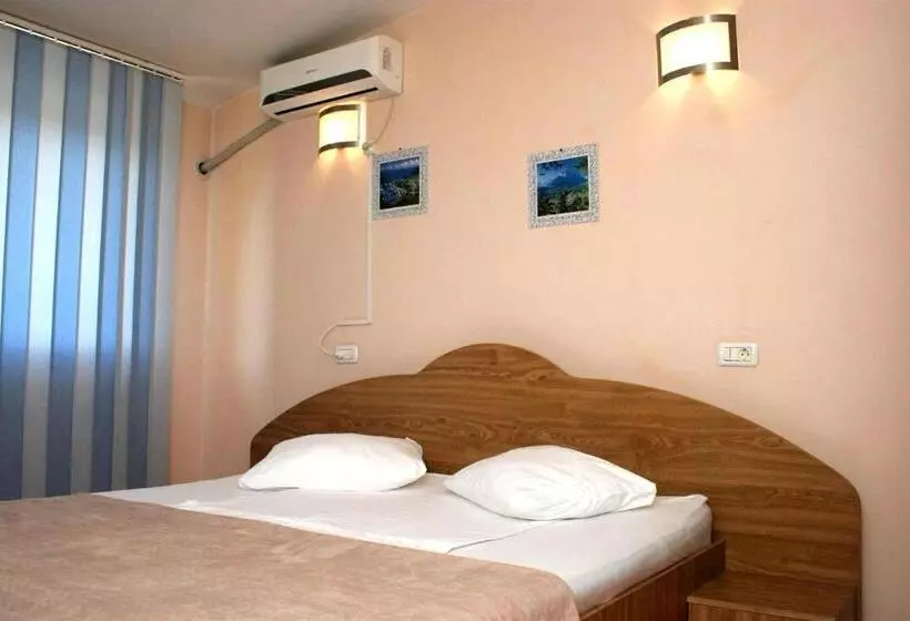 Otel Pension Andronic
