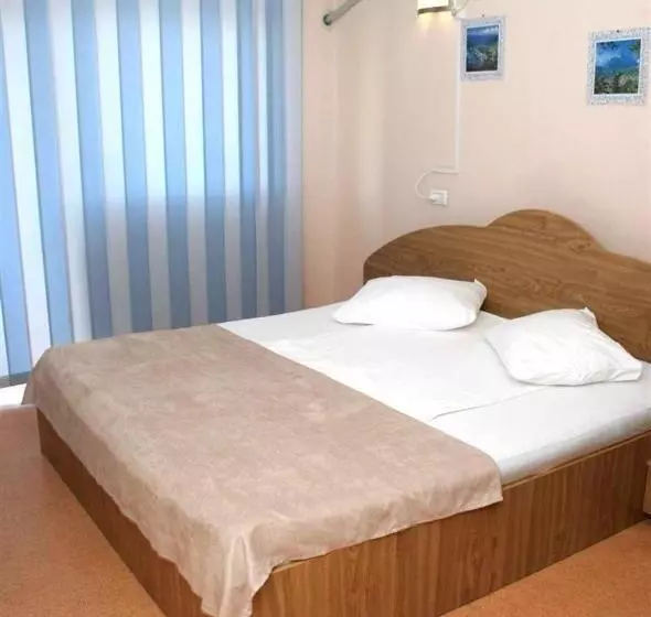 Otel Pension Andronic