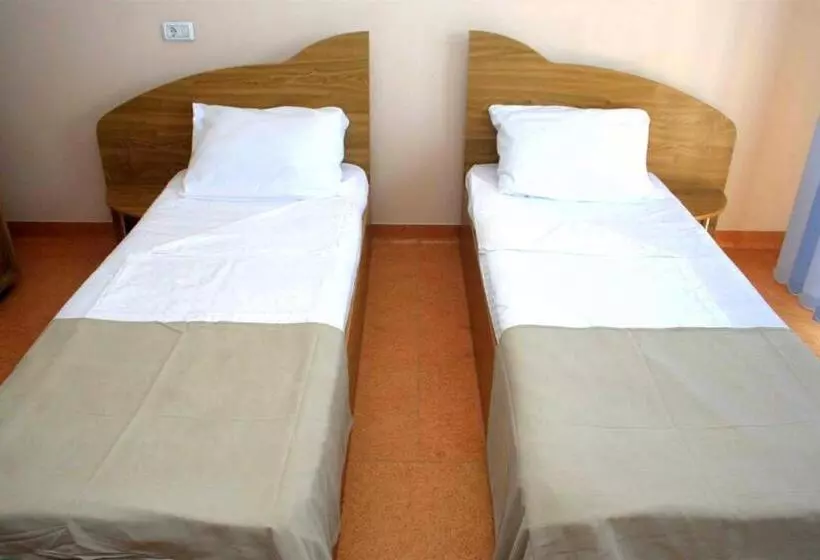 Otel Pension Andronic