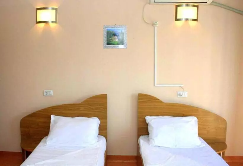 Otel Pension Andronic