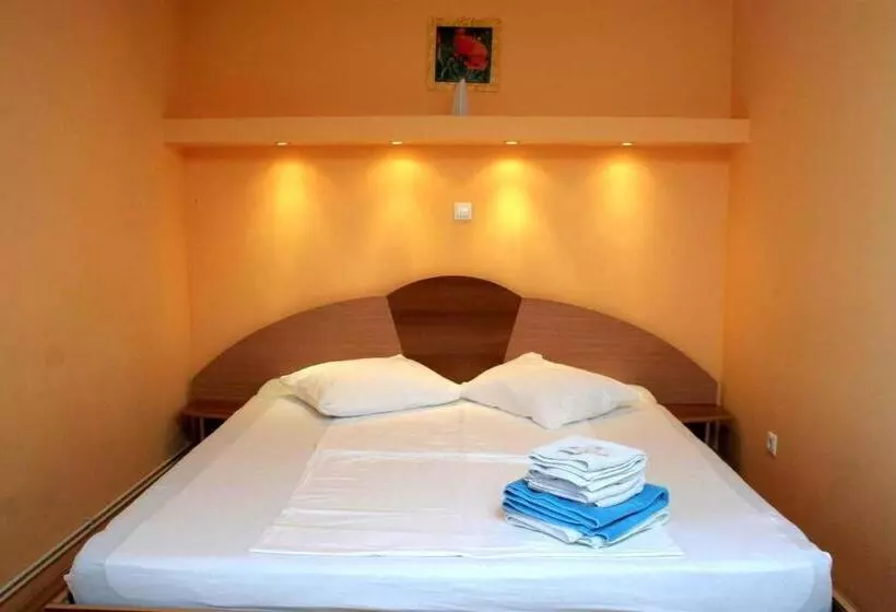 Otel Pension Andronic