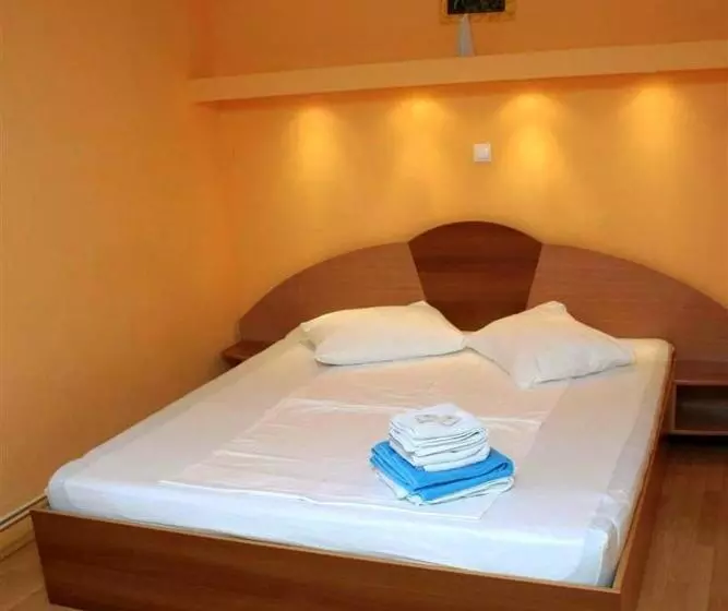 Otel Pension Andronic