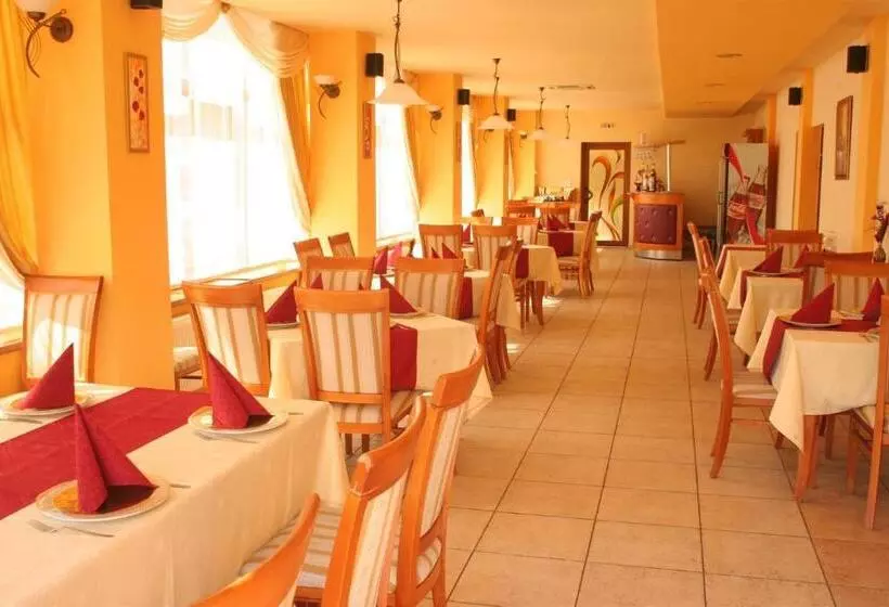 Otel Pension Andronic