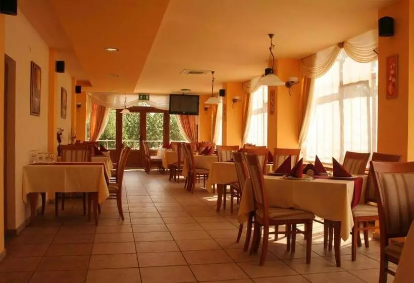 Otel Pension Andronic