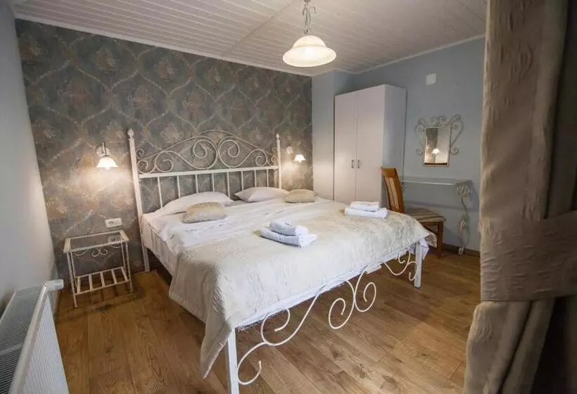 Otel Pension Andronic