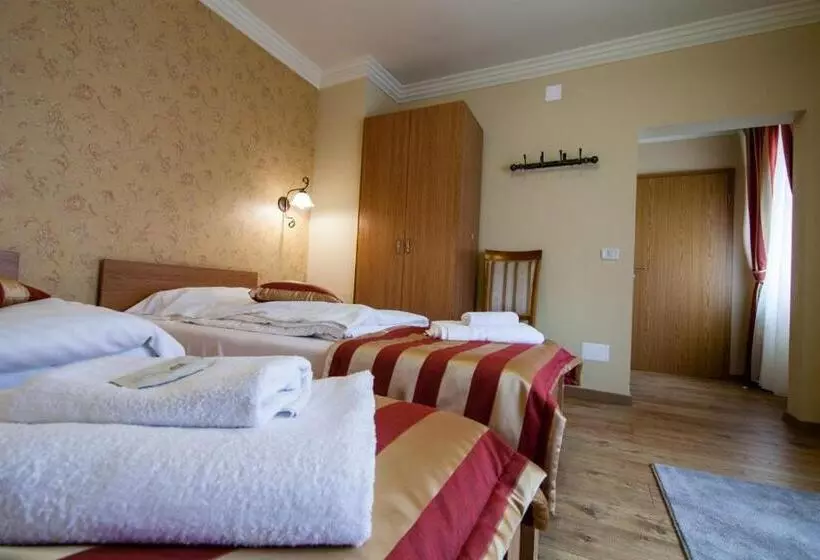 Otel Pension Andronic