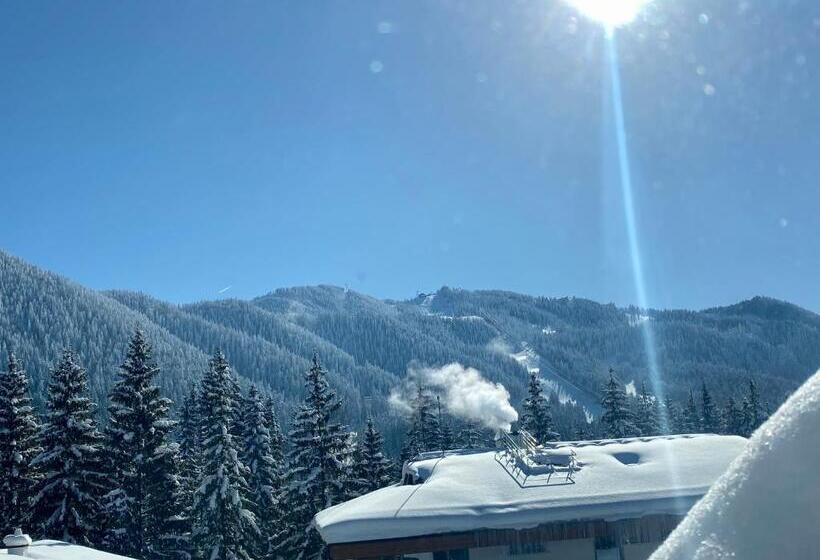 בית מלון כפרי Pensiunea Crocus   Sauna & Billiard