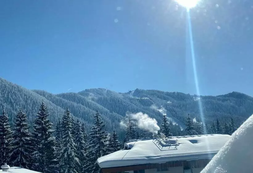 هتل Pensiunea Crocus Sauna & Billiard