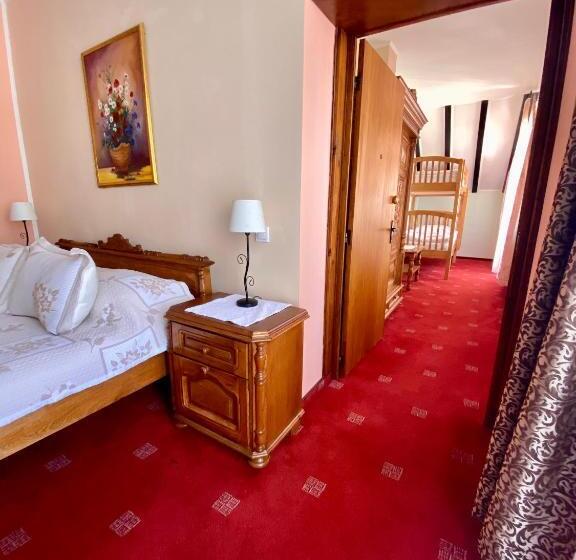 בית מלון כפרי Pensiunea Crocus   Sauna & Billiard