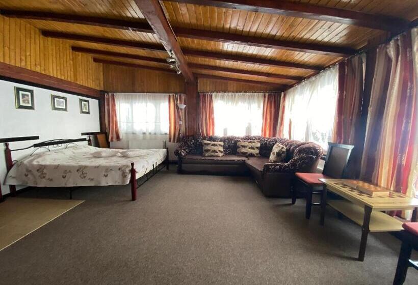 בית מלון כפרי Pensiunea Crocus   Sauna & Billiard