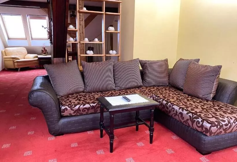 هتل Pensiunea Crocus Sauna & Billiard