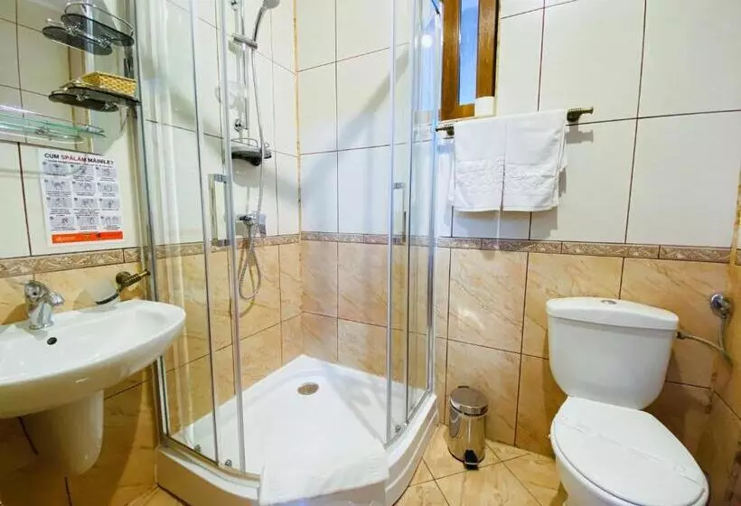 هتل Pensiunea Crocus Sauna & Billiard