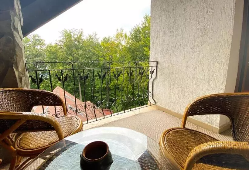 هتل Pensiunea Crocus Sauna & Billiard