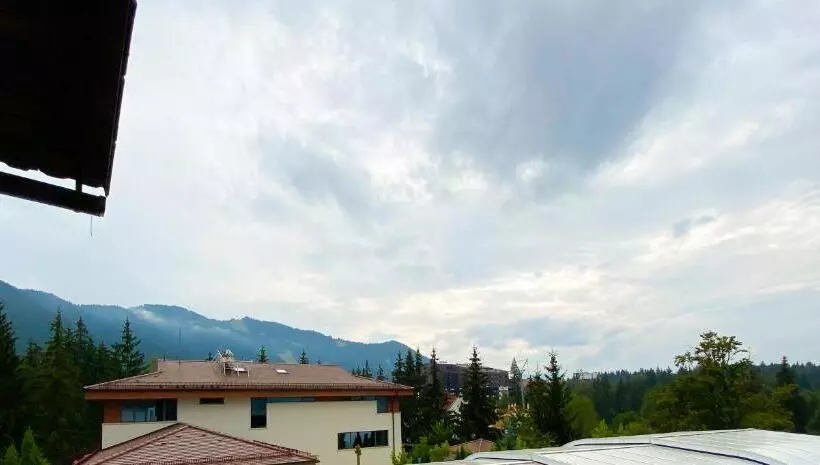 هتل Pensiunea Crocus Sauna & Billiard