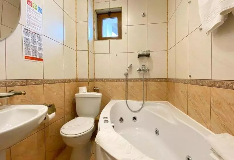 هتل Pensiunea Crocus Sauna & Billiard