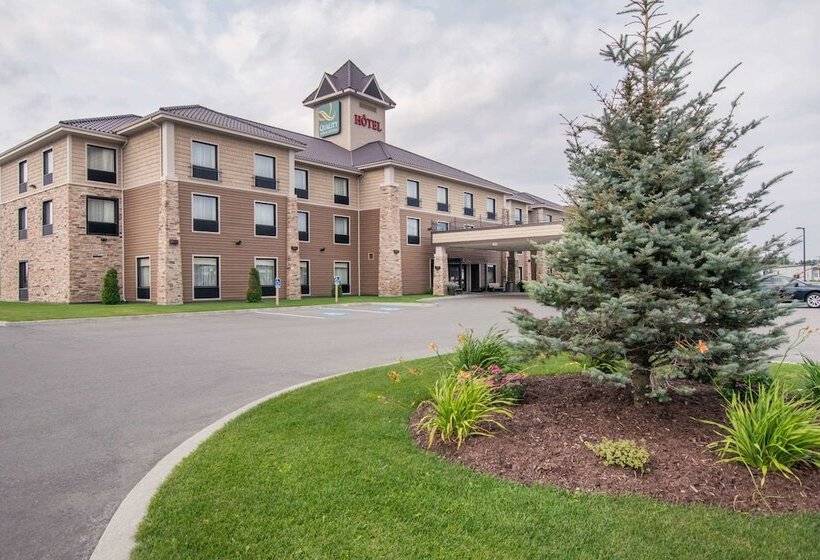 酒店 Quality Inn & Suites