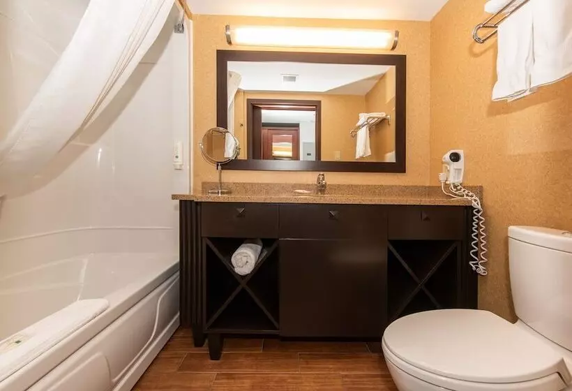 בית מלון כפרי Quality Inn & Suites