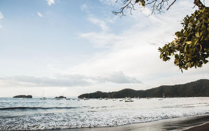 هتل The Palms At Coco Beach