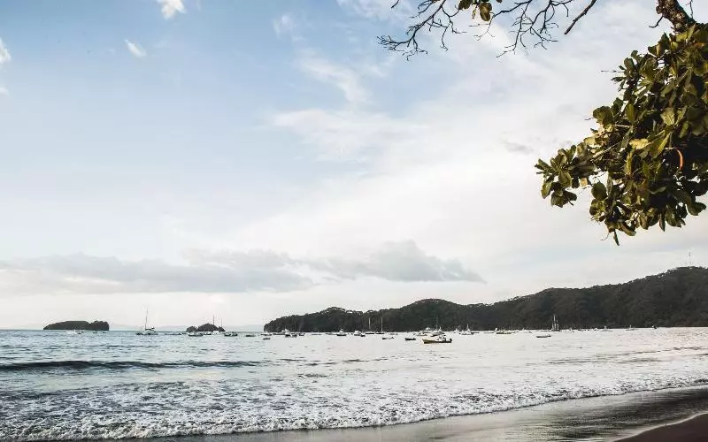 هتل The Palms At Coco Beach