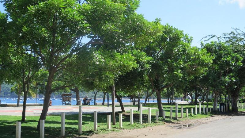 هتل The Palms At Coco Beach