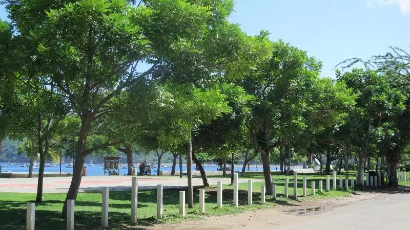 هتل The Palms At Coco Beach