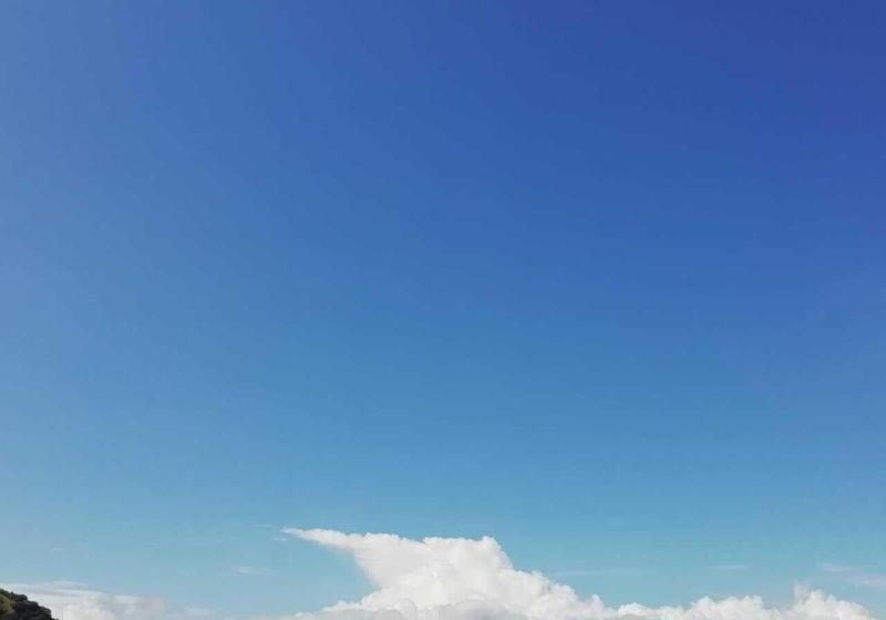 هتل The Palms At Coco Beach