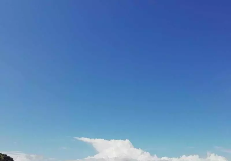 هتل The Palms At Coco Beach