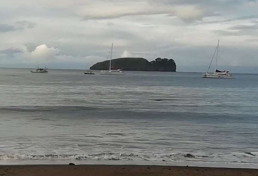 هتل The Palms At Coco Beach