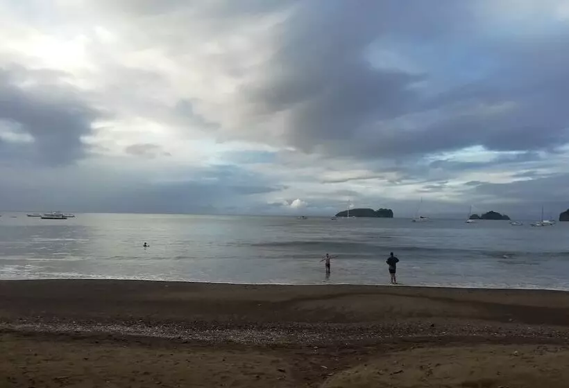 هتل The Palms At Coco Beach