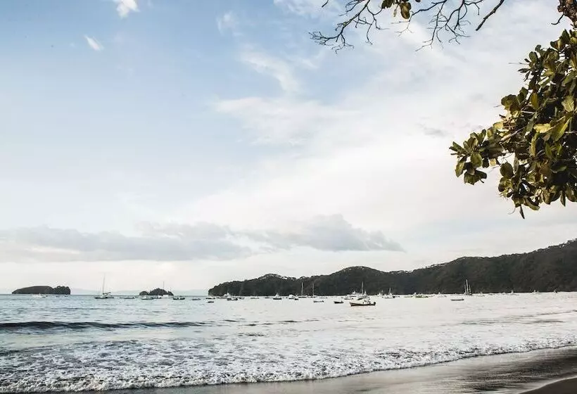 هتل The Palms At Coco Beach