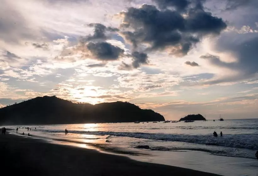 هتل The Palms At Coco Beach