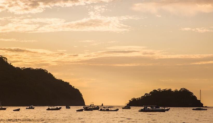 هتل The Palms At Coco Beach