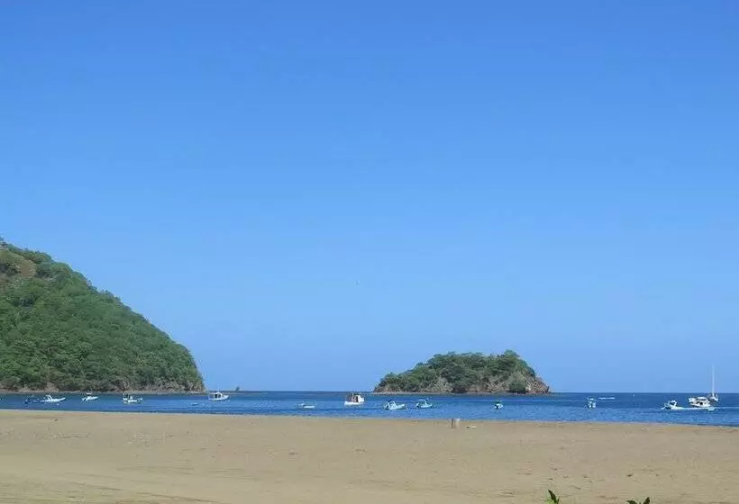 هتل The Palms At Coco Beach