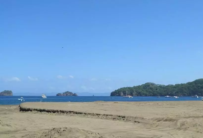 هتل The Palms At Coco Beach