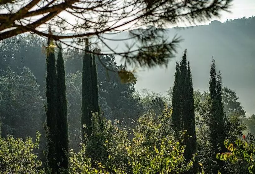 ホテル Torraccia Di Chiusi Agriturismo Relais