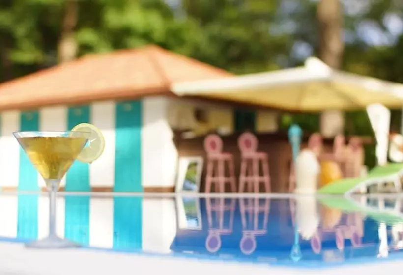 膳宿费 Nasha Dacha Country Estate