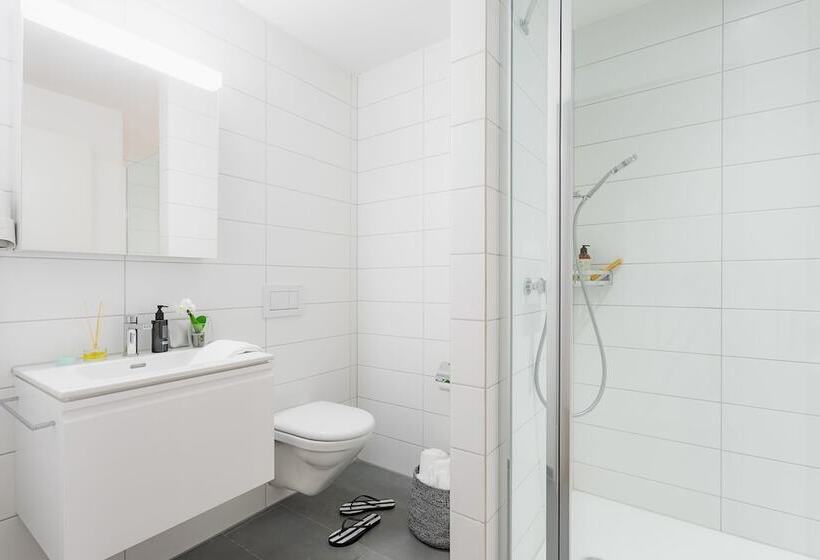 Swiss Star Zurich Airport   Self Check In