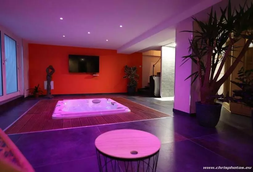 تختخواب و صبحانه Ds Plaisir Love Room Avec Sauna, Jacuzzi à Nancy