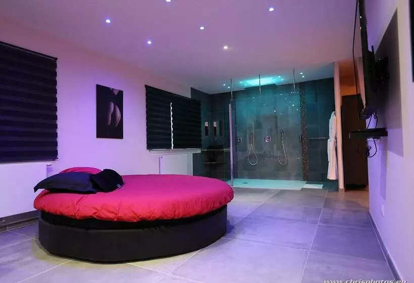 تختخواب و صبحانه Ds Plaisir Love Room Avec Sauna, Jacuzzi à Nancy