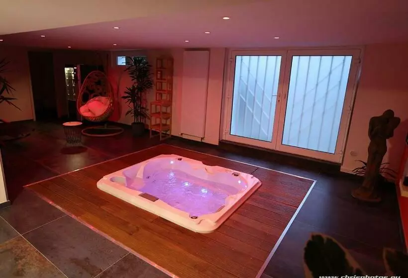 تختخواب و صبحانه Ds Plaisir Love Room Avec Sauna, Jacuzzi à Nancy