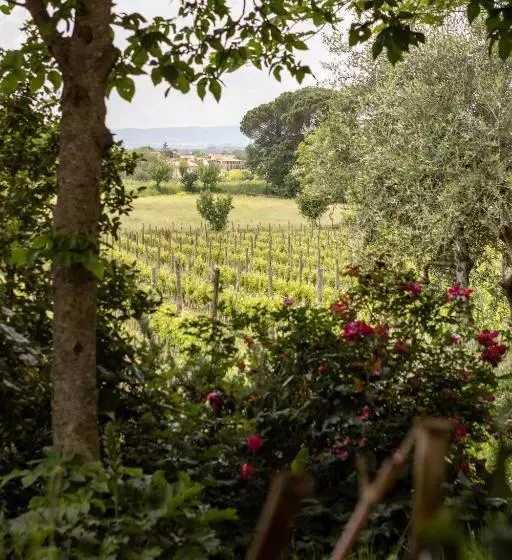 تختخواب و صبحانه Agriturismo Lapievuccia