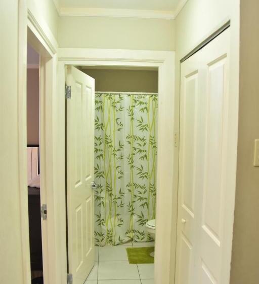 تختخواب و صبحانه The President Room 5 Minutes To Devon House 6 Strathairn Avenue Kingston