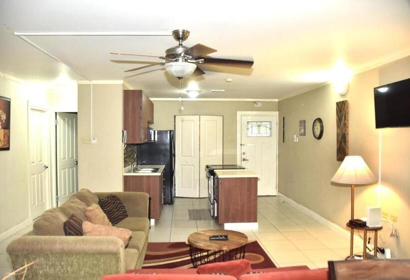 تختخواب و صبحانه The President Room 5 Minutes To Devon House 6 Strathairn Avenue Kingston